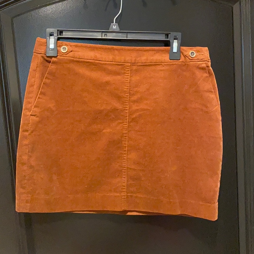 Banana Republic Skirt